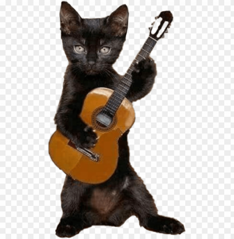 Flamenco Cat Isolated Artwork In HighResolution Transparent PNG