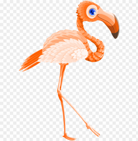 flamingo bird vector transparent image - valentines day flamingo PNG with clear overlay