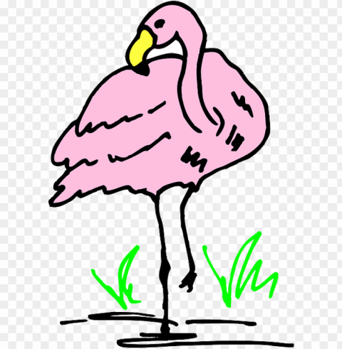 flamingo cartoon PNG Image with Clear Isolation