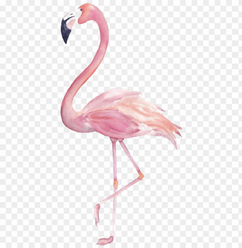 flamingo image - flamingo clipart watercolor Free transparent PNG