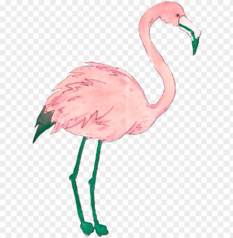 flamingo tumblr - flamingo sticker tumblr PNG transparent images for websites