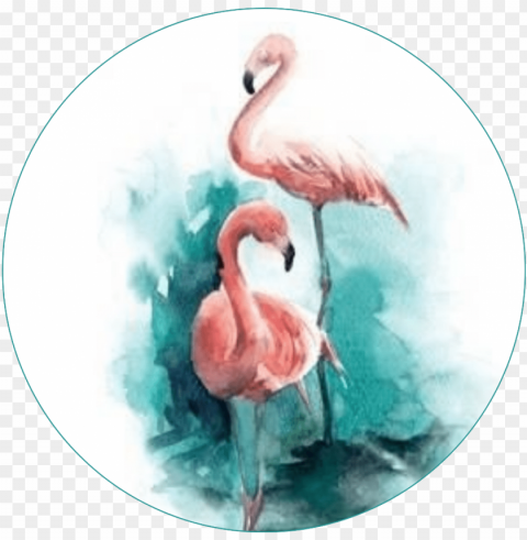 flamingo watercolor PNG files with no background assortment