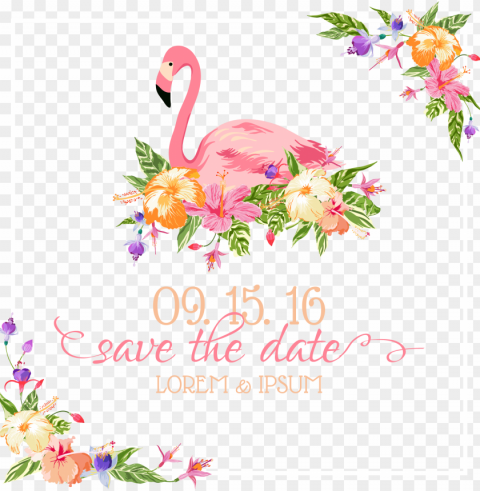 flamingo wedding invitation euclidean vector illustration - save the date flamingo Clear Background PNG Isolated Subject