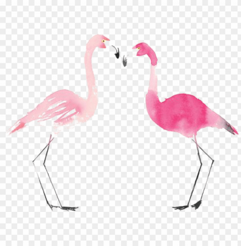 flamingos PNG images for advertising