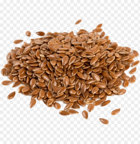 flax seed feed simply essentials - alsi ke fayde in urdu Free PNG images with alpha transparency compilation