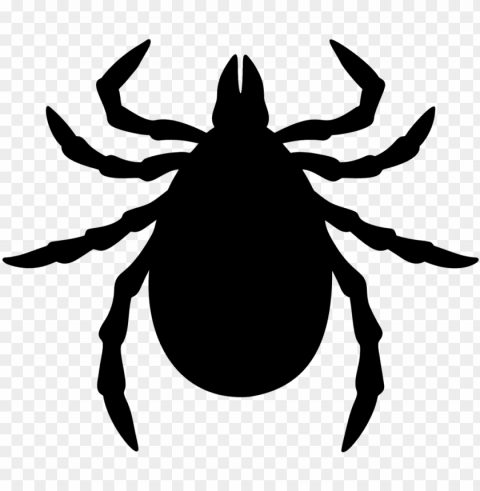 fleas & ticks - ticks cartoo PNG images with transparent canvas compilation