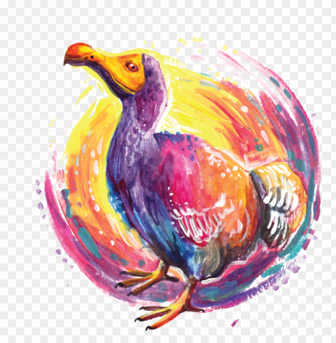 flightless bird PNG images with no fees PNG transparent with Clear Background ID 37e666e8