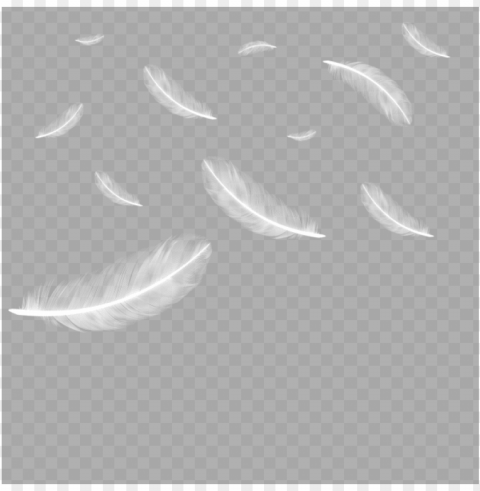 floating falling feather feather feathers feathers - feather Isolated Subject with Clear PNG Background PNG transparent with Clear Background ID 558bc045