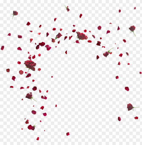 floating flower crop - flower effect picsart PNG Image with Clear Background Isolated PNG transparent with Clear Background ID c5b5027c