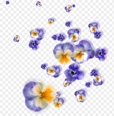floating flowers - satnam Transparent background PNG images comprehensive collection