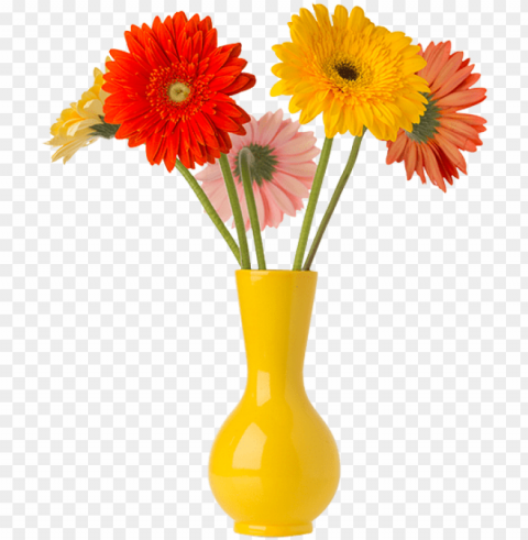 flor - show gerbera flower vase PNG transparent icons for web design