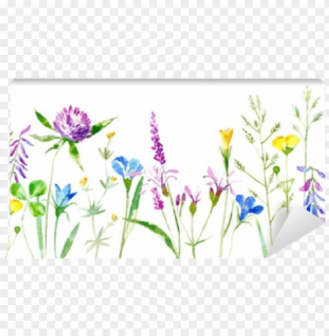 floral border of a wild flowers and herbs on a white - white background grass flower PNG Graphic with Clear Isolation