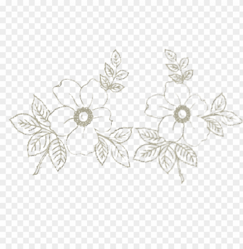 floral branco vetor PNG Image Isolated with Clear Background
