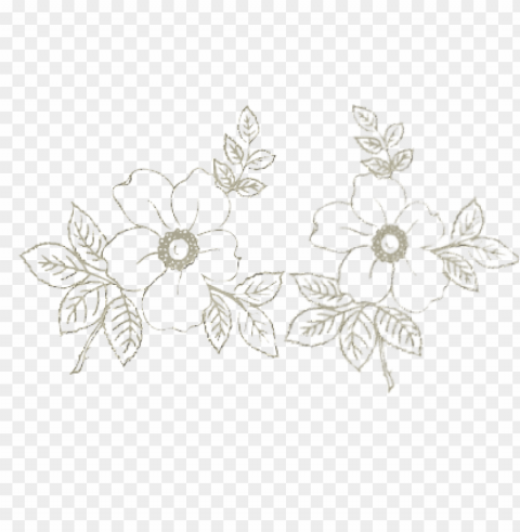 Floral Branco Vetor PNG Image Isolated With Clear Background