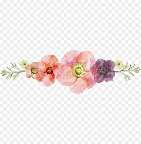 floral divider PNG files with transparent backdrop