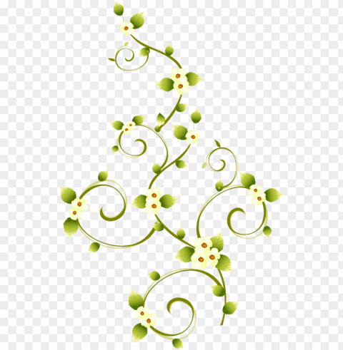 Floral Photo - Flower PNG Transparent Photos For Design