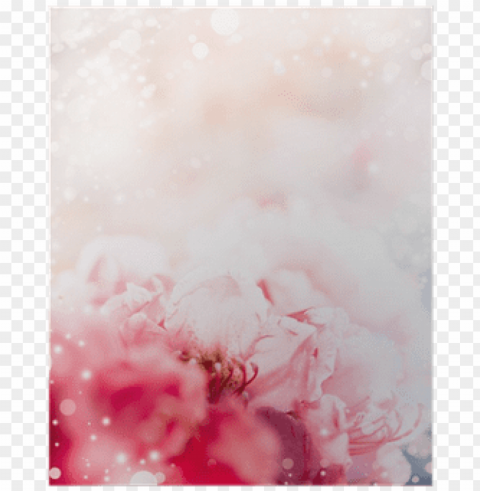floral romantic pastel border background with red flowers - canvas print Isolated Design Element in Transparent PNG