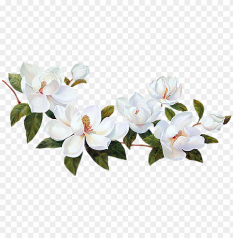 flores blancas - bordes de flores blancas PNG images with alpha transparency free