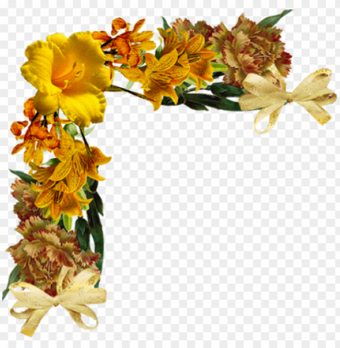 flores encontradas en la web - flower frame orange Transparent PNG Illustration with Isolation
