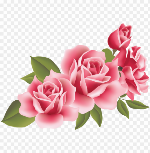 flores rosas - tarjetas de invitacion vintage para imprimir Isolated Illustration on Transparent PNG