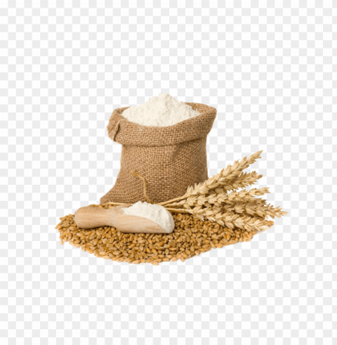 flour Transparent PNG Object with Isolation