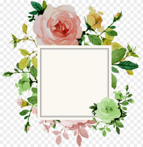flower backgrounds flower wallpaper wallpaper backgrounds - pretty flower beautiful flowers border Clear Background PNG Isolated Graphic Design
