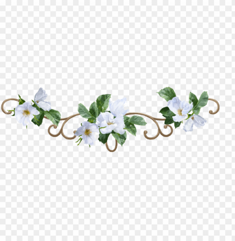 flower border - white flower border Transparent Background Isolated PNG Design