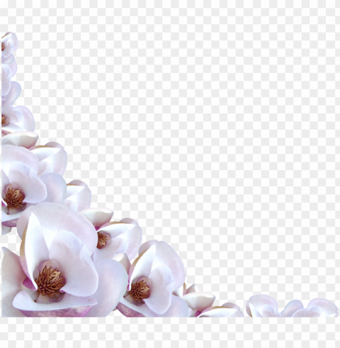 flower border - white flower border PNG images with clear cutout