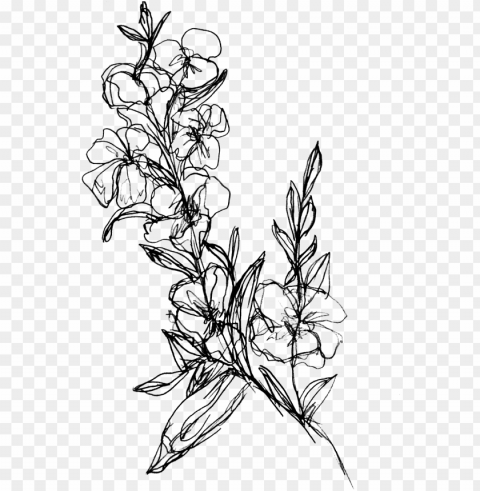 flower branch submitted by walmartteacups to r - drawing of flower branch Isolated Character in Transparent PNG Format