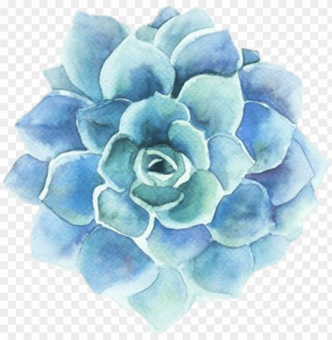 flower clipart tumblr - blue flower watercolor HighResolution Transparent PNG Isolation