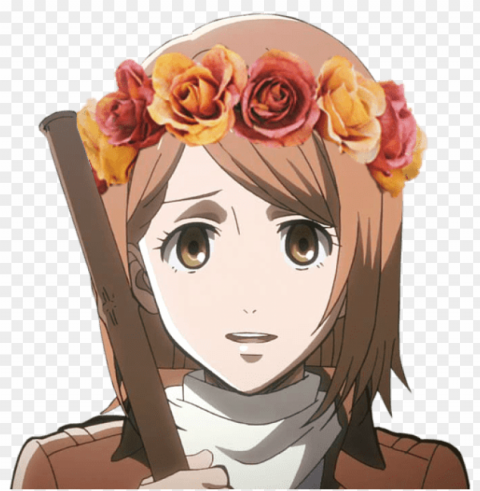 Flower Crown Transparent PNG Files With No Background Assortment