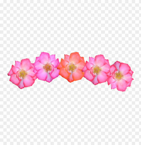 Flower Crown Transparent PNG Files With No Background Bundle