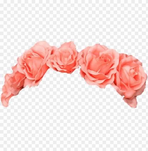 flower crown transparent overlay PNG Isolated Illustration with Clear Background