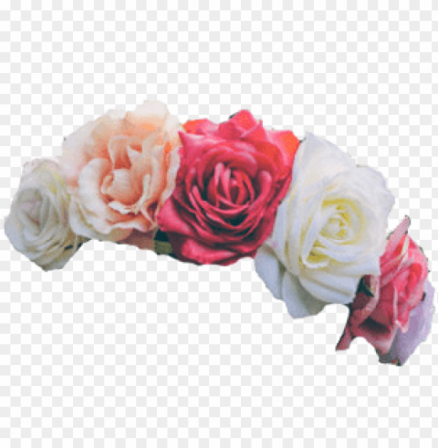 flower crown overlay PNG Image with Transparent Isolation
