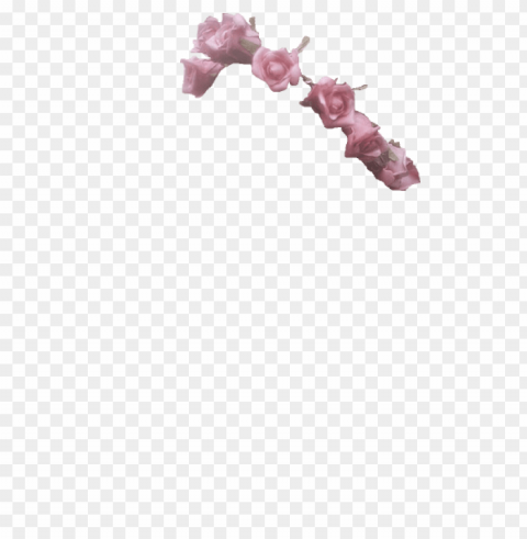 flower crown transparent overlay PNG images alpha transparency PNG transparent with Clear Background ID 1fbcacc4