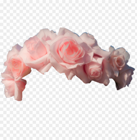 flower crown transparent overlay PNG images for merchandise PNG transparent with Clear Background ID 96f2ddd7