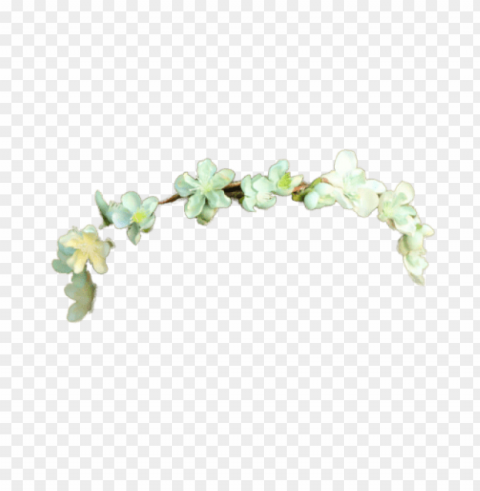 flower crown tumblr Isolated Object with Transparent Background in PNG