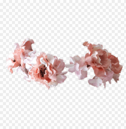 flower crown tumblr Isolated PNG on Transparent Background
