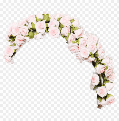 flower crown tumblr Isolated Subject in HighQuality Transparent PNG