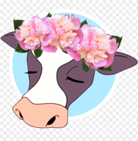 flower crown tumblr Isolated Subject in Transparent PNG Format
