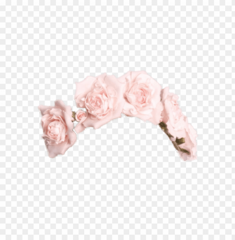 flower crown tumblr Isolated Subject on HighQuality PNG