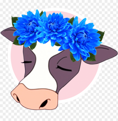flower crown tumblr PNG clear background
