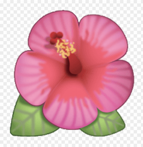 Flower Emoji Transparent Isolated Graphic On HighQuality PNG