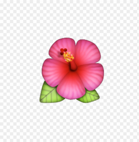 Flower Emoji Isolated Graphic On HighResolution Transparent PNG