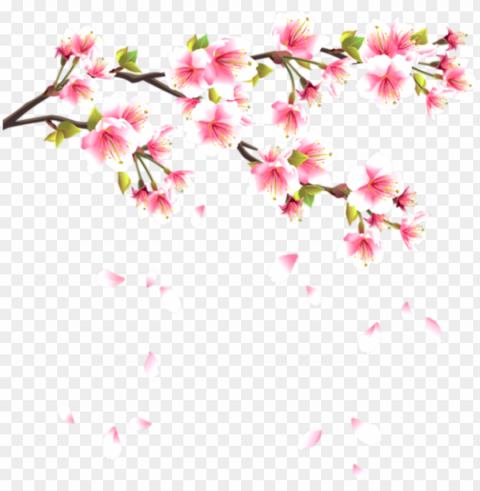 flower flowerpentals pentals pental falling pink - japanese cherry blossom PNG images free download transparent background