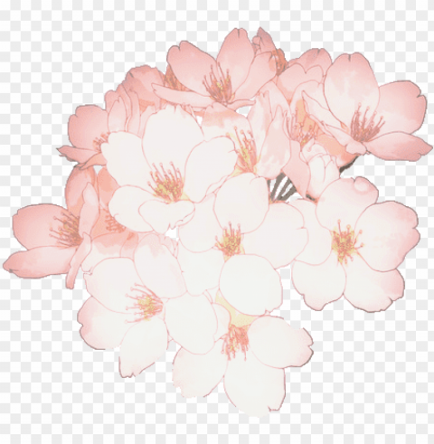flower flowers sakura cherryblossom tumblr kawaii ftest - sakura flower kawaii Clear Background Isolated PNG Icon