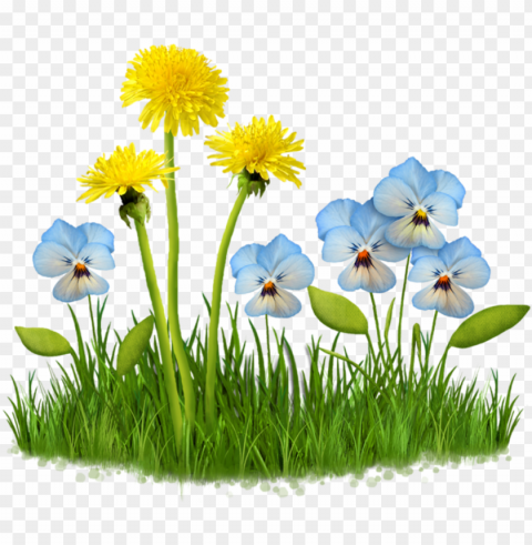 #flower #garden #plant #nature #grass #field #lawn - fleur des champs PNG for online use
