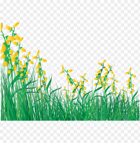 flower lawn clip art - grass and flowers cartoo PNG graphics with alpha transparency bundle