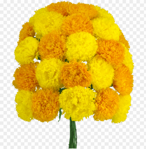 flower of the dead - day of the dead flowers PNG free transparent