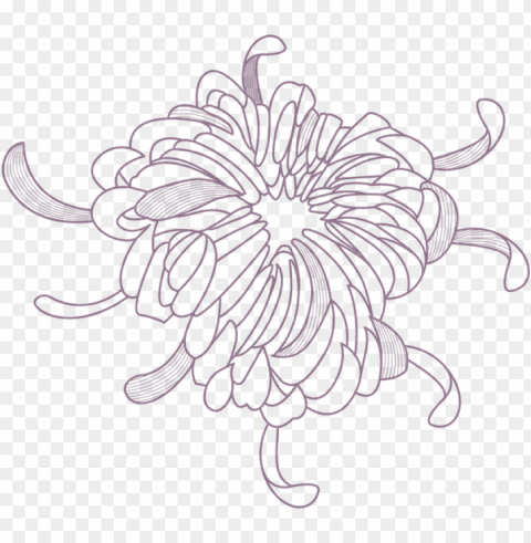 flower outline - flower PNG images no background